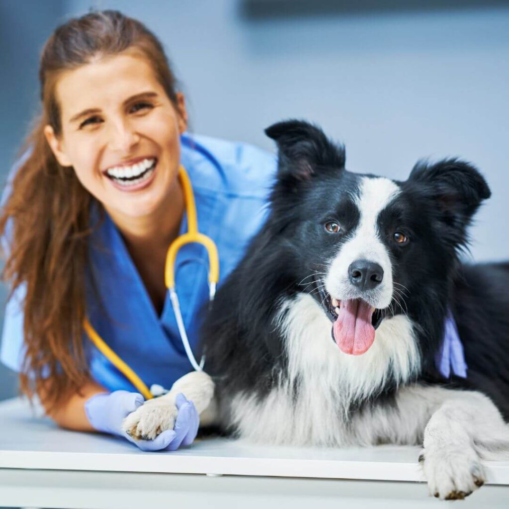 nurse with dog